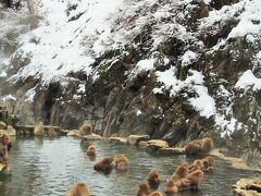 うわぁ　ほんとに温泉につかってる！！