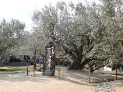 日本のオリーブ栽培は小豆島オリーブ園から始まったそうです。100年近い歴史があるオリーブの原木やイサム・ノグチの遊具彫刻などがある広い公園です。
