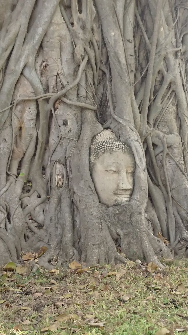 そばに係の方がいて、立ってカメラを向けていると注意されます。