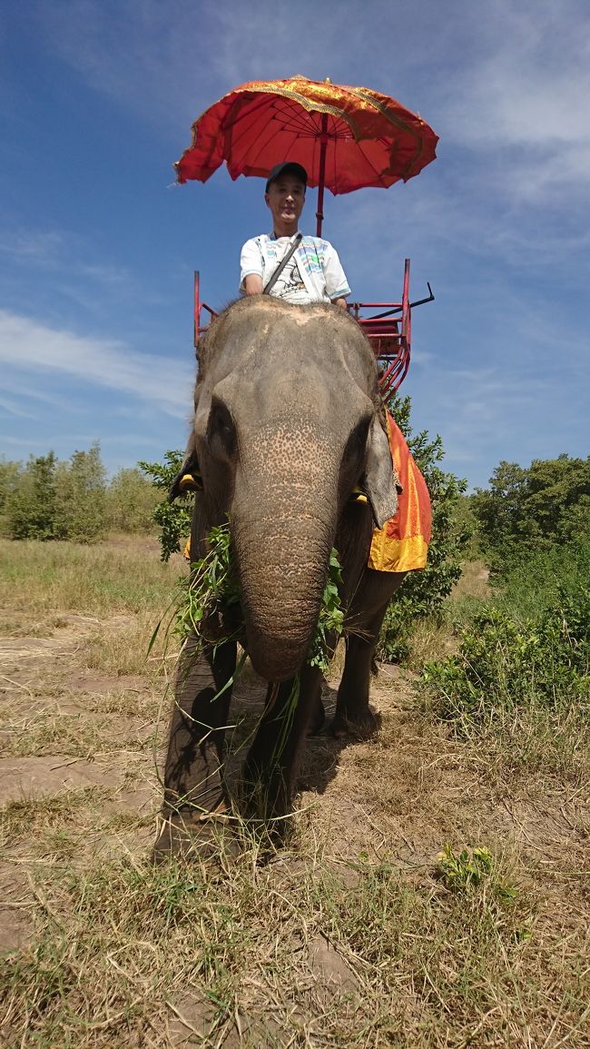 一度は乗りたいと思った象さんです。<br />45分も乗りました。<br />象使いの方は、ちょっと？あまりにもチップに❗日本人が応じるのかなぁ～😓少し残念です。