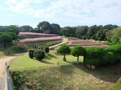 島についてからも、バスにまた乗り、やってきました。島のバスも満員、そして公園入口も長蛇の列。みんなよくこんな遠くまできたなぁ。
ピンクのはコスモスです！この公園でキャンプもできます。

After I got off the ferry, I took another bus in the island in order to get to this Noko Island Park.  Even to buy an entrance ticket, there were lots of people. It was surprising to see so many crowds in this remote island park..  
Things in pink are cosmos.　You can also camp in this park.

