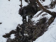 竜神の滝。例年なら凍るそうですが、今年はまだ。