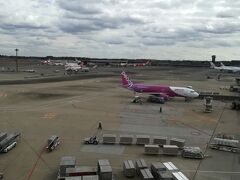 成田空港第三ターミナルにて。4週連続の成田空港そして4週連続のLCC搭乗です。