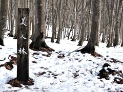 　冬なのに駐車場まで進めました。本当に春のよう。