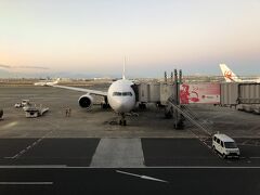 早朝のJAL便で羽田空港から福岡空港に飛びます。搭乗率30％くらいでしょうかガラガラでした。