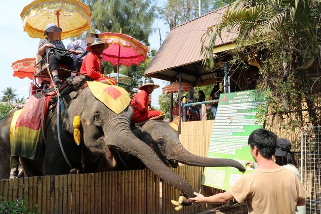 バナナをやる事も出来る。<br />じじばばが乗る象さんにバナナをあげる子供3とMy wife