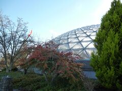 公園の中に温室があり、オウムなどのカラフルな鳥が放し飼いになっています。