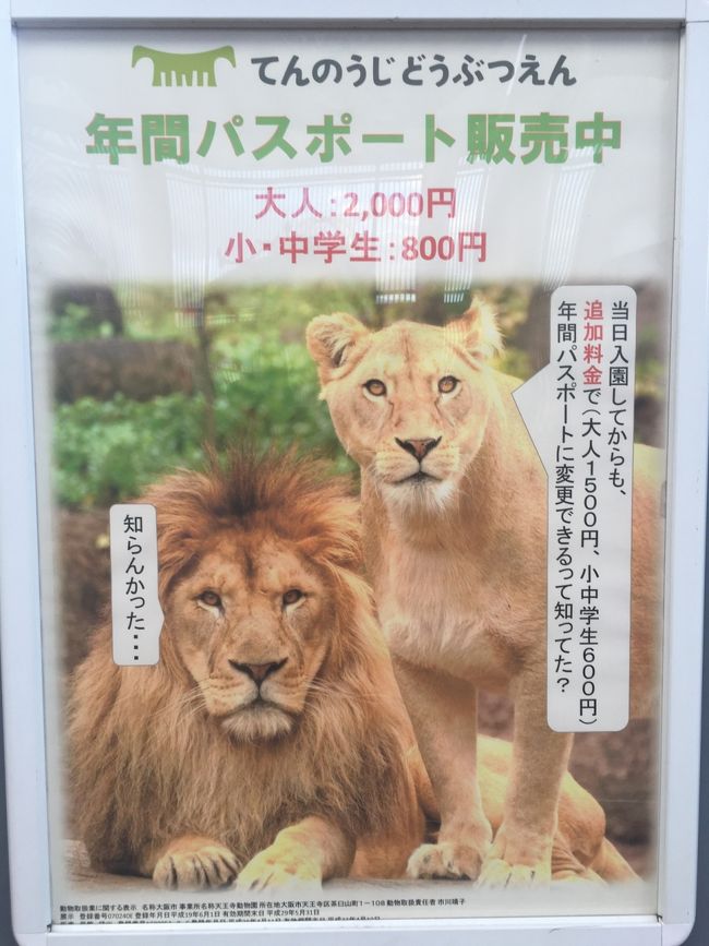 久しぶりの天王寺動物園 ミナミ 難波 天王寺 大阪 の旅行記 ブログ By Xiaomaiさん フォートラベル