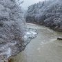 毎年恒例、豪雪の温泉地で雪見風呂のはずが・・・冬とは思えない風景