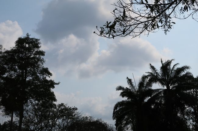 ■Rayong Green Valley Country Club 2月2回目、<br />PM.2.5が気になり、空を見上げる。