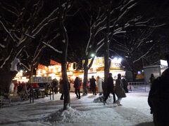 ホテルにチェックインしてから、雪まつり大通会場にやって来ました。