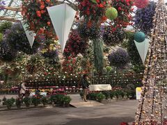 松江フォーゲルパークへ。ここは、植物園と鳥類の動物園が一緒になったところで、ずっと気になっていた施設。初めて行ってみたけど、意外にもとても楽しかった。広いし。