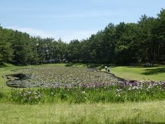 阿波岐原森林公園