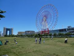 そして帰路。
展示場から横を見ると芝生の広場。
いいなあ。