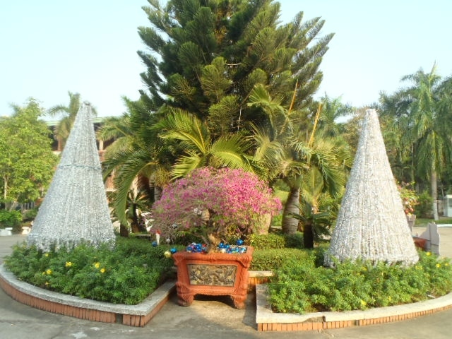 満開に近いピンク色の綺麗な花の盆栽を飾ったり・・・<br />（ベトナムでも、Bonsai！と呼ぶそうです）