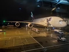 エアバスＡ３８０、久しぶりに見るとでかい！