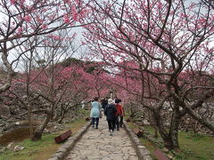 その両脇には地元の人々により
寒緋桜が植樹されたのだとか。。