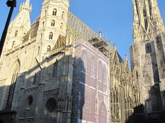 やっと、ウィーン観光開始です。
まずは、シュテファン大聖堂。地下鉄の駅を出るといきない建っていて、圧倒されます。