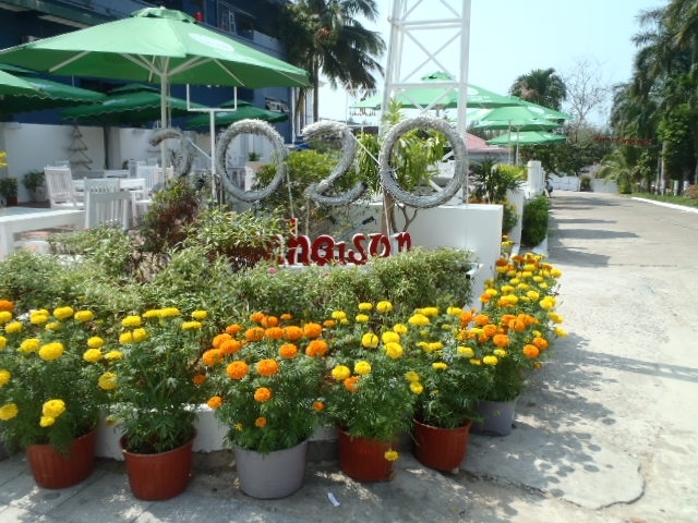 宿泊ホテルの敷地内では春節を迎える準備のためなのか、<br />日々、生花などで華やかな感じにしてあり・・・