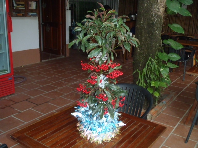 街中のお店でもホテル同様に店先に色々な飾りが置いてあり・・・<br />(手作りのこじんまりした飾り！)