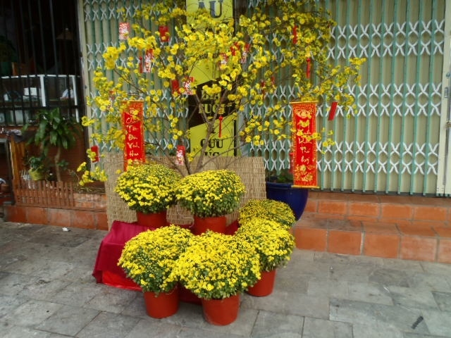 新しい年を迎える準備が進められているようで・・・<br />(黄色で統一されていた飾り、黄色はラッキ－カラーなのか？)<br />