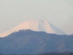 ＜奥多摩・三頭山＞トレッキングに向かう途中の拝島駅より、富士山の頭だけが良く見えました。