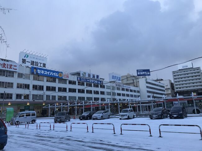 そういえば新潟駅の写真撮ってませんでしたね。<br />今回新潟の観光はできてないので、ぜひまた来たいです。