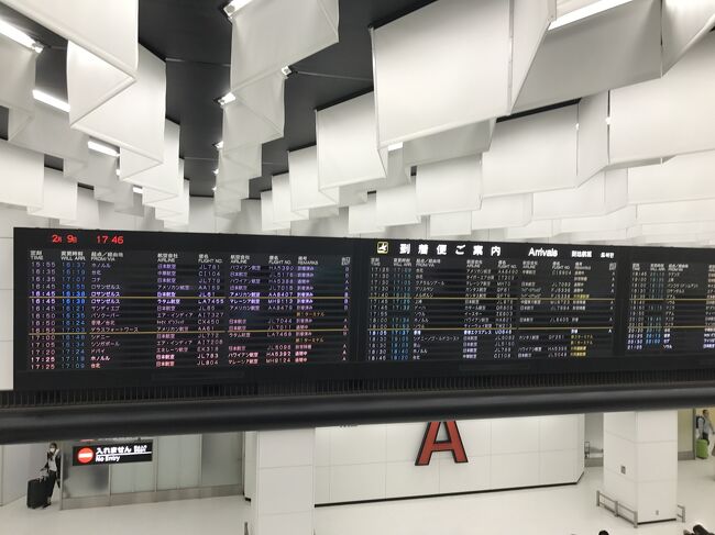 空港第2ビル駅で降りて、国内線出発ゲートに向かいます。<br />これ、成田空港っぽい！(成田空港なので笑)<br />