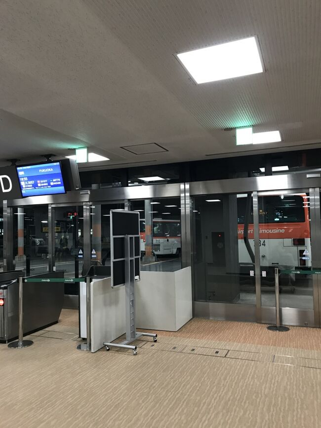 この後飛行機に乗って帰りました。<br /><br />お読みいただいてありがとうございました。