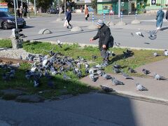 バルト駅ではおばあさんがハトにえさをあげていました。群がる数がすごかったです・・・。