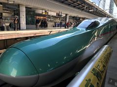 午前の用事を終え、ようやく東京駅に到着です！子供が大好きな新幹線！やはぶさ、こまち、つばさ、かがやきと、息子は大はしゃぎでした。本日はこちらの「はやぶさ」ではなく、「やまびこ」で仙台までぶらり旅です。