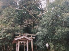 橋を渡ると金持神社の鳥居があります