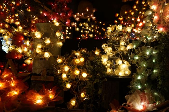 しばし、幻想の世界を楽しみました。