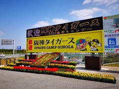金武町の先までドライブしてたら、プロ野球のキャンプ発見。
っことで、ミーハーなこと三つ目は阪神タイガースのキャンプ見学。