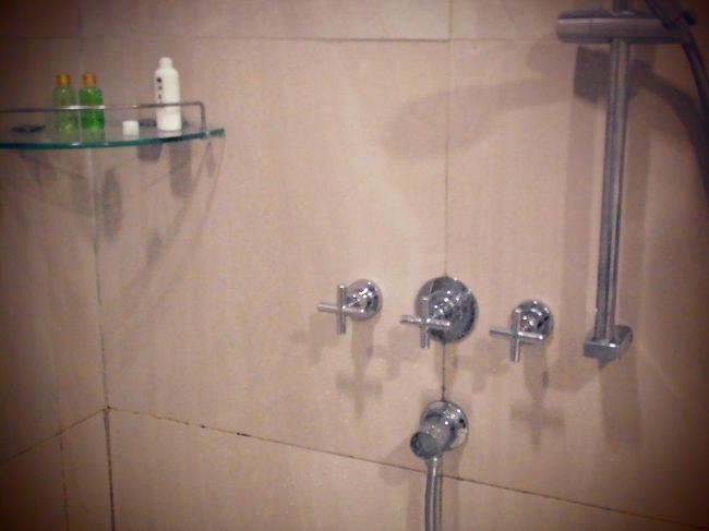 シャワー<br />蛇口がわからなくて　最初水しか出ない<br />しばらくいじってたらお湯が出ました。<br />良くみると小さい〇で赤がお湯と青が水<br />眼鏡しないと見えないって！