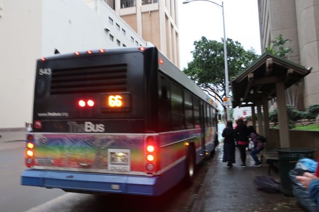 州立ホノルル美術館の裏手にあるバス停から　66番に