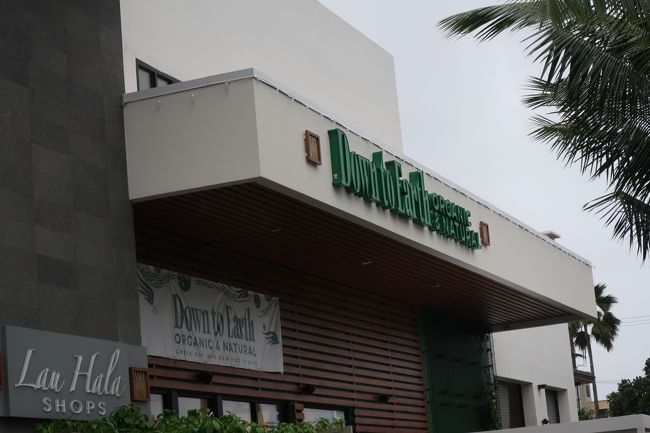 もう今日はダメかな？<br />海は諦めて　ダウントゥアースへ