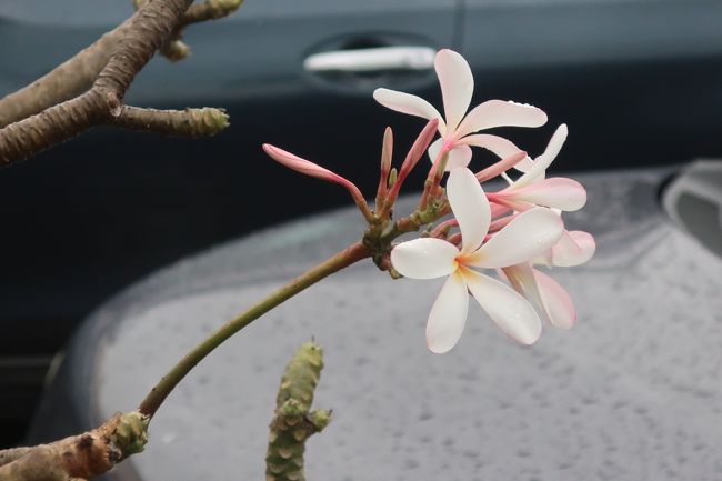 私たちはターゲットへ