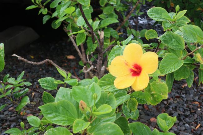 気が付いたら13時をとっくに回っていました