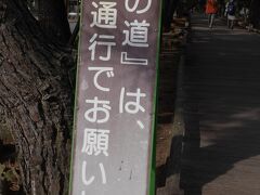 「静岡県　三保松原　神の道」