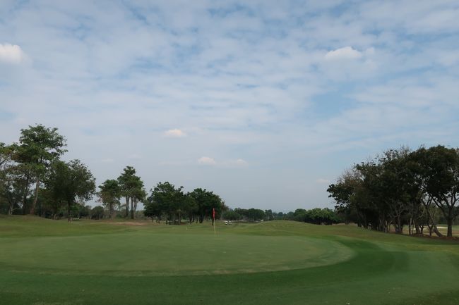 ■GreenWood Golf Club<br />晴天、ヤヤ暑さ有り、微風。<br /><br />キャディさんの丁寧なグリーン読み有り、しかしなかなか合わず。<br />速いといっても、さほど速くなく、ショートしたり、色々。<br /><br />C 黄色3139YからA 黄色3054Y<br /><br />同伴者は飛ばし屋、だが左右にぶれてた。