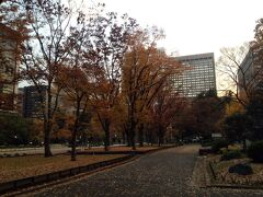 日比谷公園は紅葉してました