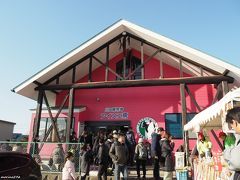 小田原牧場アイスクリーム工房

人気のアイスクリーム工房、相変わらずの混雑ぶりでした。