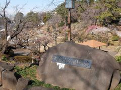 大倉山公園梅林の銘石