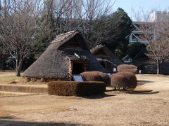 柵の間から撮った復元された竪穴住居