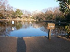 せせらぎ公園の池