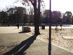 上野恩賜公園。竹の台広場。噴水もときおり水をあげますが、静かなときもあります。