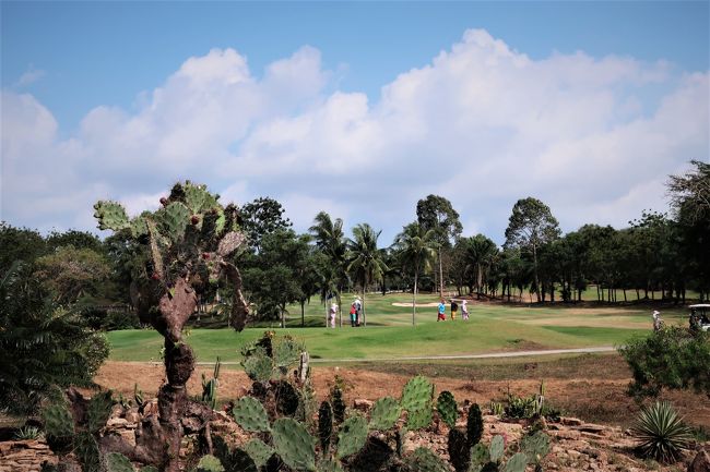 前半、2ホール目で、小雨。<br />10分位で止んだ。<br />その後、晴天。<br /><br />グリーン全体速め。