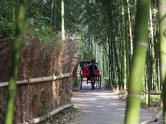 竹林の道（竹林の小径）