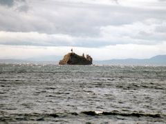 ◆島

出港してまもなく見えてきた島